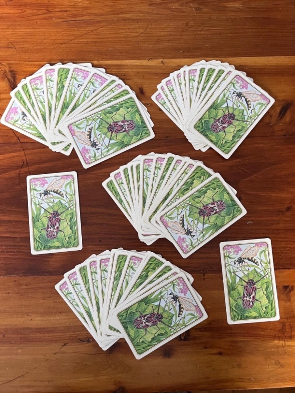 Y2K Playing Cards with Insect Designs